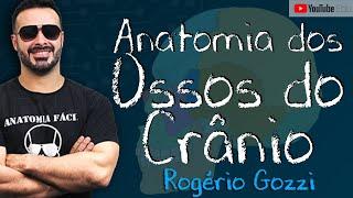 ANATOMIA DOS OSSOS DO CRÂNIO - Rogério Gozzi