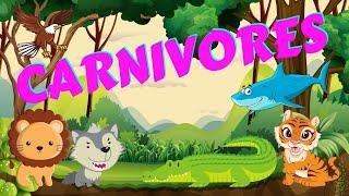 Carnivores | Types of Animals | Science for Kids