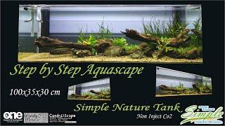 Step by Step Project Low Tech Simple Nature Aquascape Tank 100 cm #139