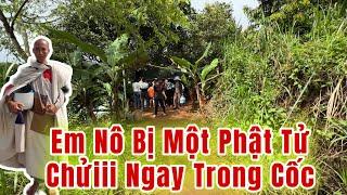 Ngày 3 tháng 9, Phóng Sanh Cá cầu bình an cho tất cả Khán Giả về Thầy Minh Tuệ