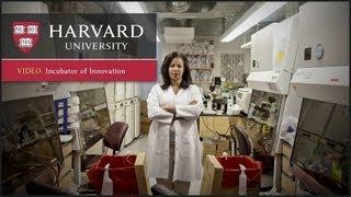 Incubator of Innovation - Innovation at Harvard