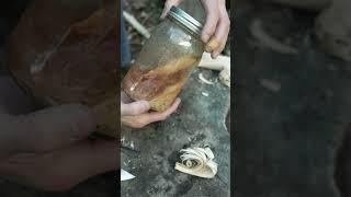 How To Start A Fire With Jute & Liquid PineSap  #survival #fire #camping #bushcraft  #outdoorskills