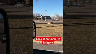 Surprise Visitor Takes Tailgating to the Next Level