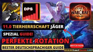 NEU! Patch 11.0 TWW Tierherrschaft Jäger Guide #thewarwithin #wow #Tierherrschaft