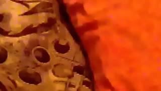 Мадагаскар влажные солфетки обзор