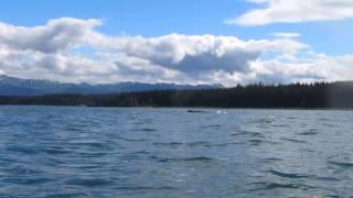 Sea kayaking with humpback whales - Bartlett Cove, Glacier Bay, Alaska