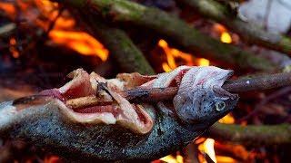 Winter cooking with Marobud - trout fish