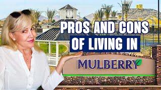 PROS and CONS of living in Mesa's Top Neighborhood MULBERRY | Living in Mesa, Az