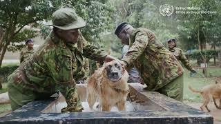 Empowering Every Badge: Leading the Pack in Kenya’s K9 Unit