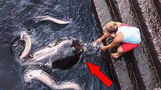 10 Unusual Friendship Between Human & Animal