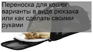 Переноска для кошек: варианты в виде рюкзака или как сделать своими руками