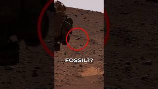 Mars Rover Curiosity SOL 4220 | quicksolutions-data #mars