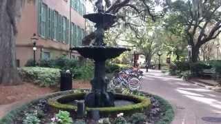 College of Charleston - campus tour