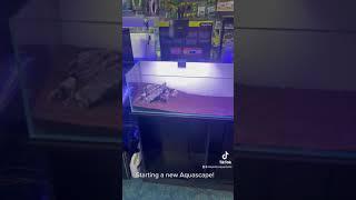 New at Majestic Aquariums!