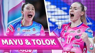 MAYU ISHIKAWA & TATIANA TOLOK, all points in derby Pinerolo - Novara | Lega Volley Femminile 2024/25