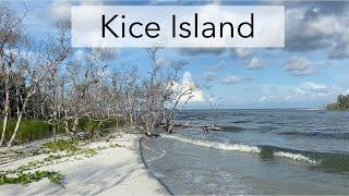 10,000 Islands Florida. Let's look for sea shells on an uninhabited island!