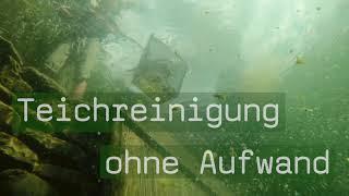 Oxi Clean von GETEISA – Die ultimative Lösung gegen Fadenalgen und Teichablagerungen!