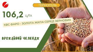  КВС ФАРО: 106,2 ц/га – найкращий результат зернових у Тернопільському регіоні!  Челендж 2024