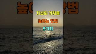 자신의 가치를 높이는 방법 5가지  #명언 #좋은글 #지혜