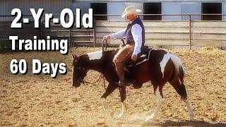 2-Year-Old With 60 Days Of Training - Foundation Horse Training