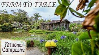 Farm To Table Restaurant - Armonía Campestre - Costa Rica