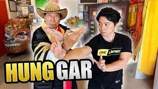 The STRONGEST Chinese Kung Fu? Hung Gar