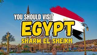 Insider tips for exploring Sharm El Sheikh 