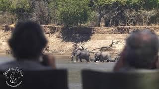 Shenton Safaris - Bush Breakfast