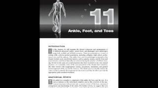 Athletic & Orthopedic Injury Assessment: A Case Study Approach