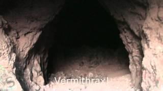 Peanut and Snowflake Chihuahua at Ft Apache Cave Las Vegas