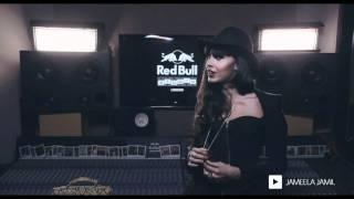 Red Bull Studios premiere of Hip Hop: A Cultural Odyssey