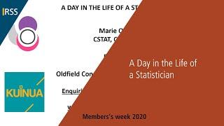 A Day in the Life of a Statistician