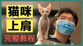 【猫咪训练】教猫咪跳上肩膀