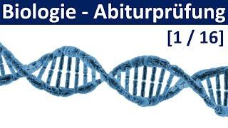 Biologie Abiturprüfung 2024 - Tipps und Aufgabentypen  [1/2] - [Abitur Biologie, 1/16]