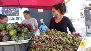 Llegaron las Pitayas a Guadalajara. En las 9 esquinas ...