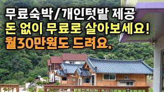 돈 없이 무료로 살아보세요!,무료숙박/개인텃밭 제공,돈 30만원 받으면서 3달 살아보기,한달살기_시골살이,농촌에서 살아보기!_귀농귀촌,전원주택,전원생활,귀촌부부,청년농부