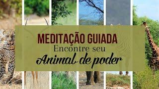 MEDITAÇÃO GUIADA - ENCONTRAR ANIMAL DE PODER