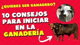 10 CLAVES PARA INICIAR EN LA GANADERÍA / GANADERÍA PARA PRINCIPIANTES / GUÍA PARA GANADEROS