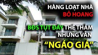 Bỏ hoang HÀNG LOẠT BIỆT THỰ liền kề tại Hà Nội - BĐS tụt đáy thê thảm nhưng vẫn NGÁO GIÁ (phần 1)