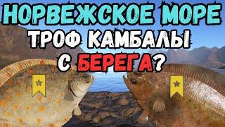 КАК РЫБАЧИТЬ НА МОРЕ С БЕРЕГА?/Норвежское море ● Русская Рыбалка 4 | РР4