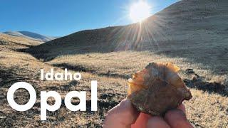 Hunting for Opals in the Volcanic Hills | Rockhounding Idaho