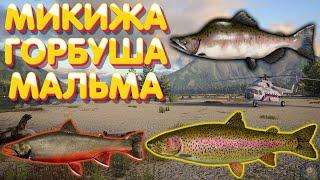 Микижа + Мальма + Горбуша | ФАРМ | р. Яма | Русская Рыбалка 4