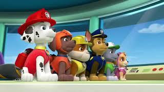 power rangers paw patrol narration for trevor jones