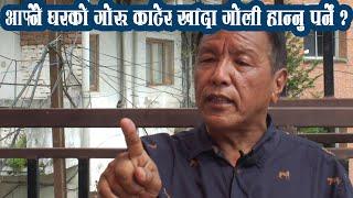 घरको गोरु खानेलाई गोली किन ठोकेको? Ang Kaji Sherpa Interview Kulman Ghising / Dorje | Bishwa Ghatana