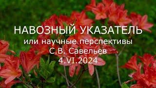 С.В. Савельев - Навозный указатель