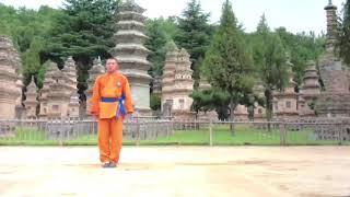 Shaolin Wu Xing Quan