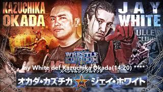 NJPW Wrestle Kingdom 13 Review