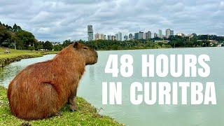 CURITIBA, BRAZIL. Capybaras, BBQ, and Mountains. 48 Hours In My Old Hometown.