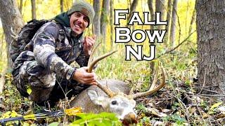 Bow Hunting Buck CHARGES In!