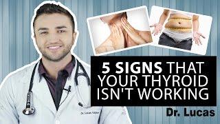 5 Signs That Your Thyroid isn't Working - Dr Lucas Fustinoni BRAZIL